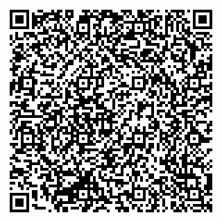 vCard 79335550294
