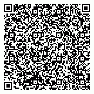vCard 79335550295