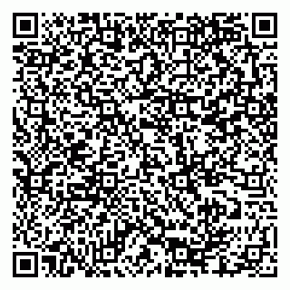 vCard 79335550298