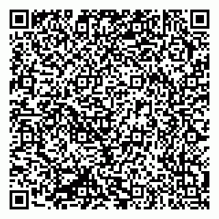 vCard 79335550301