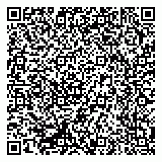 vCard 79335550302
