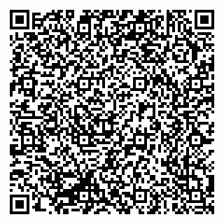 vCard 79335550304