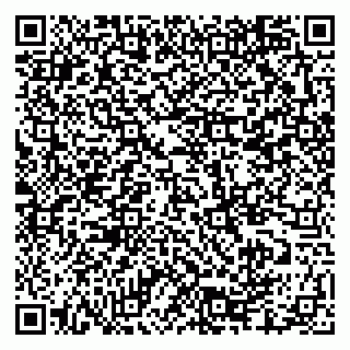 vCard 79335550306