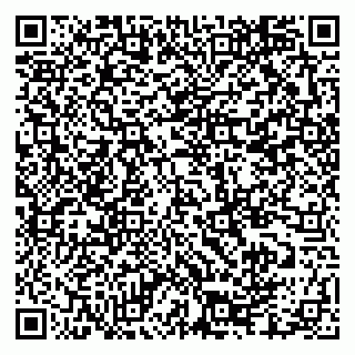 vCard 79335550307