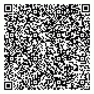 vCard 79335550308