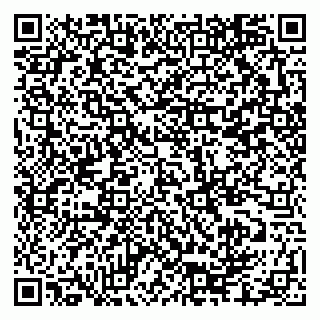 vCard 79335550310