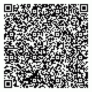 vCard 79335550311