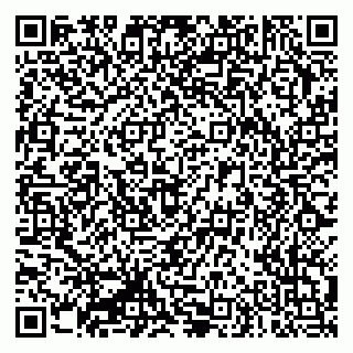 vCard 79335550313