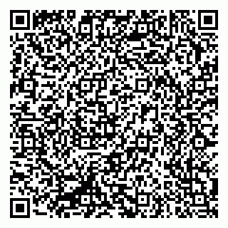 vCard 79335550320