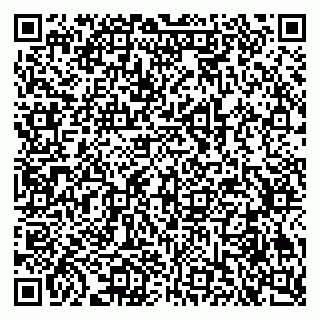 vCard 79335550321