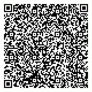 vCard 79335550322