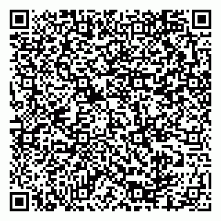 vCard 79335550324