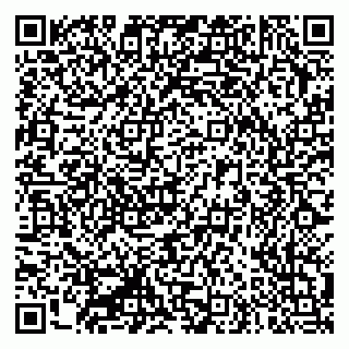 vCard 79335550325