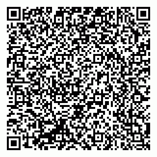 vCard 79335550328