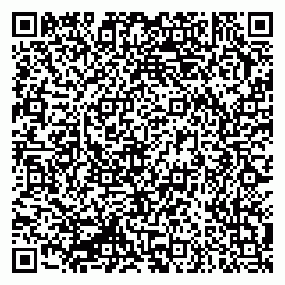 vCard 79335550329