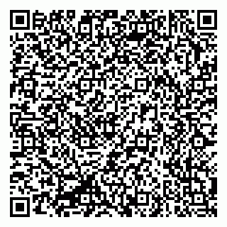 vCard 79335550331