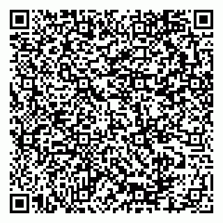 vCard 79335550332