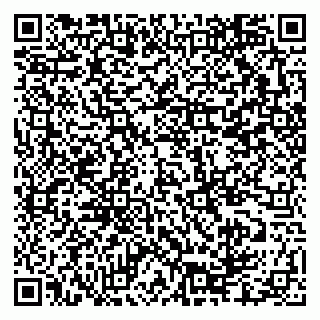 vCard 79335550334
