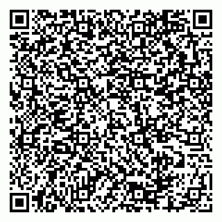 vCard 79335550336