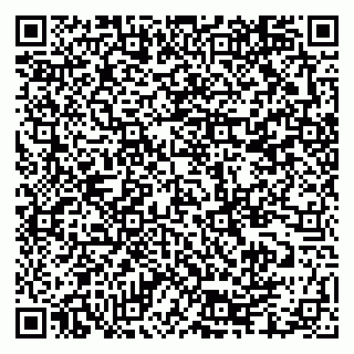 vCard 79335550341