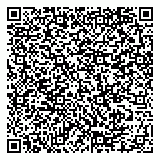 vCard 79335550345