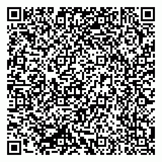 vCard 79335550347