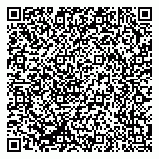 vCard 79335550351