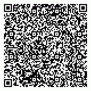 vCard 79335550352