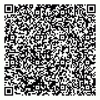 vCard 79335550353