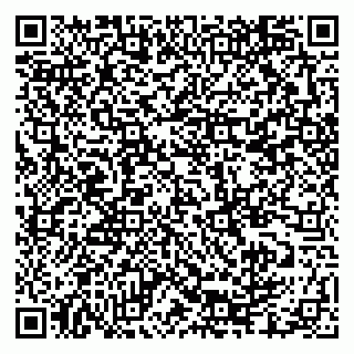 vCard 79335550360