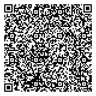 vCard 79335550368