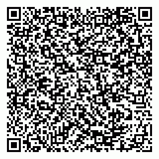 vCard 79335550370