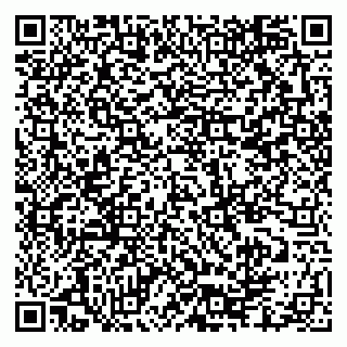vCard 79335550371