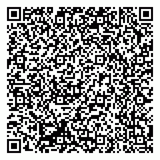 vCard 79335550373