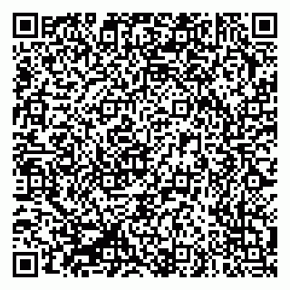 vCard 79335550376