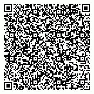 vCard 79335550380