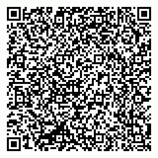 vCard 79335550381