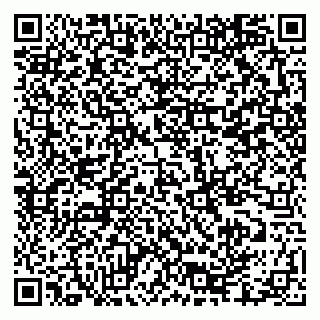 vCard 79335550382