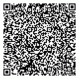 vCard 79335550383