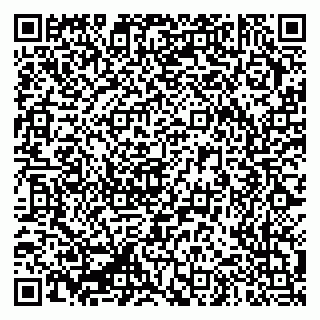 vCard 79335550385