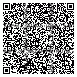 vCard 79335550389