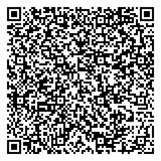 vCard 79335550390
