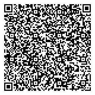 vCard 79335550391