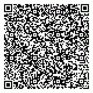 vCard 79335550392
