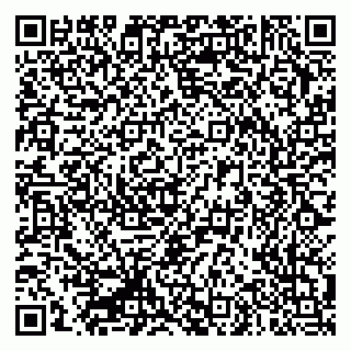 vCard 79335550395
