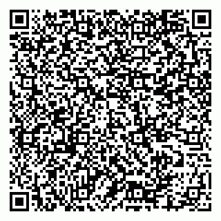 vCard 79335550397
