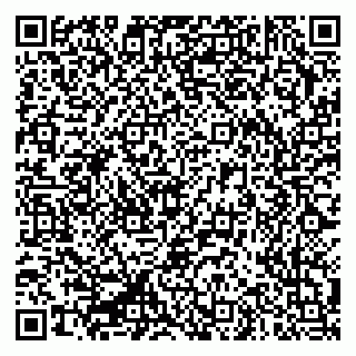 vCard 79335550399