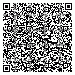 vCard 79341000173