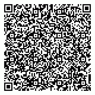 vCard 79341000539