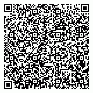 vCard 79341000739